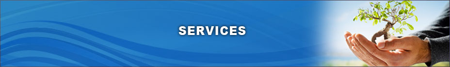 services